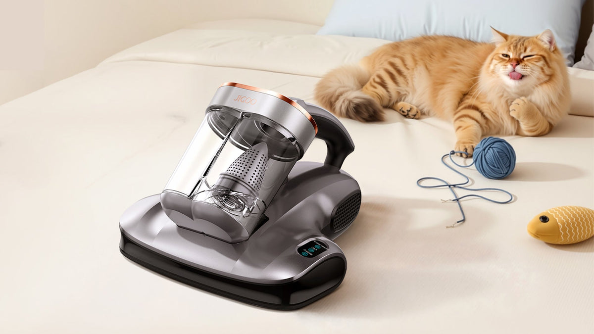 How Pet Owners Can Deep Clean Their Home Over the Weekend | Jigoolife
