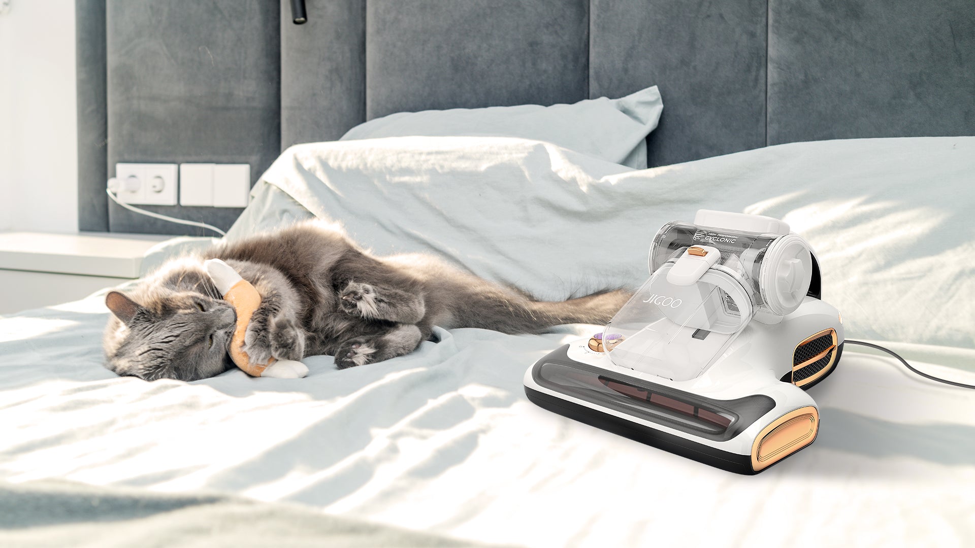 JIGOO Mattress Vacuum Cleaner Buying Guide | jigoolife
