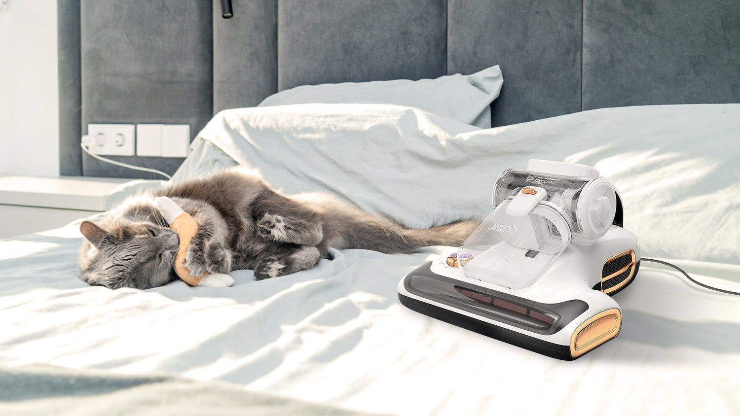 JIGOO Mattress Vacuum Cleaner Buying Guide | jigoolife