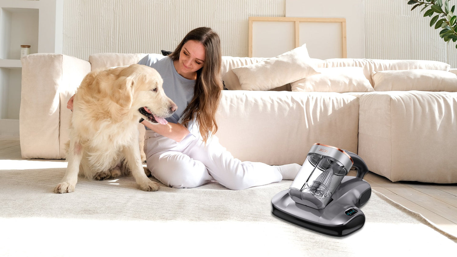 National Pet Month: Keep Your Home Clean with JIGOO Mattress Vacuum