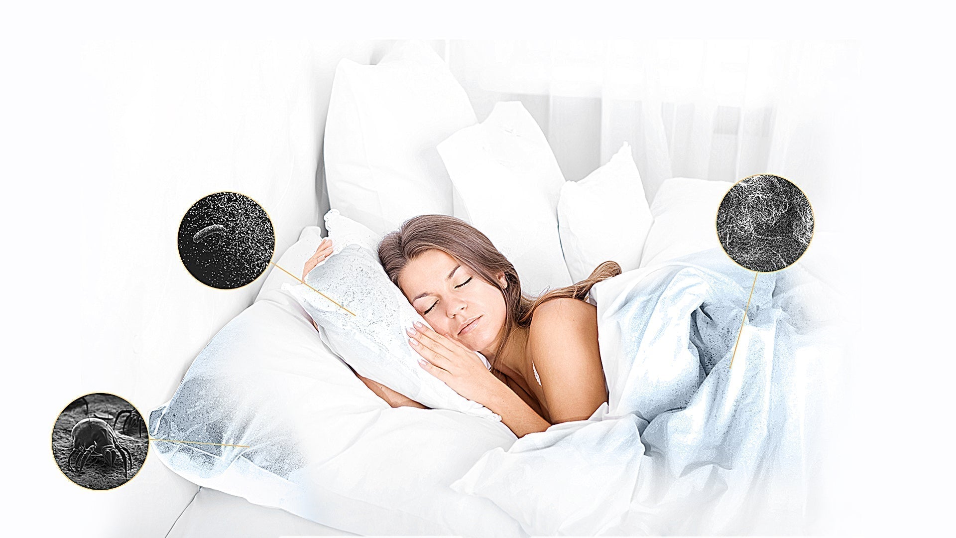 What Are Dust Mites and How Are They Effectively Removed by Mattress Vacuum Cleaners?