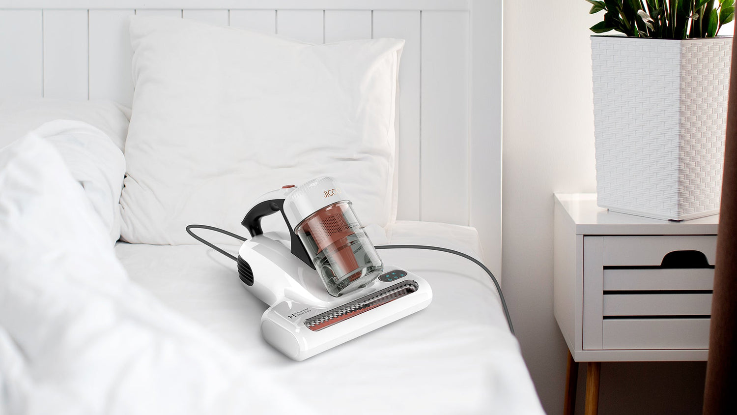 The Evolution of Mite Removal Culture: From Tradition to Innovation | Jigoolife