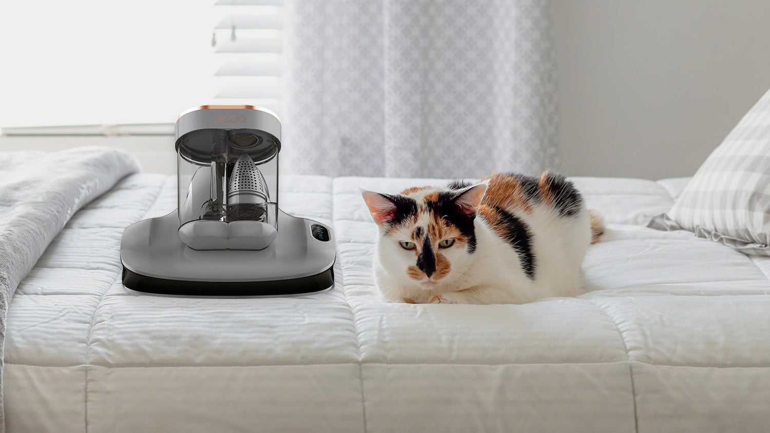 Is Stronger Suction Better JIGOO Mattress Vacuum Guide